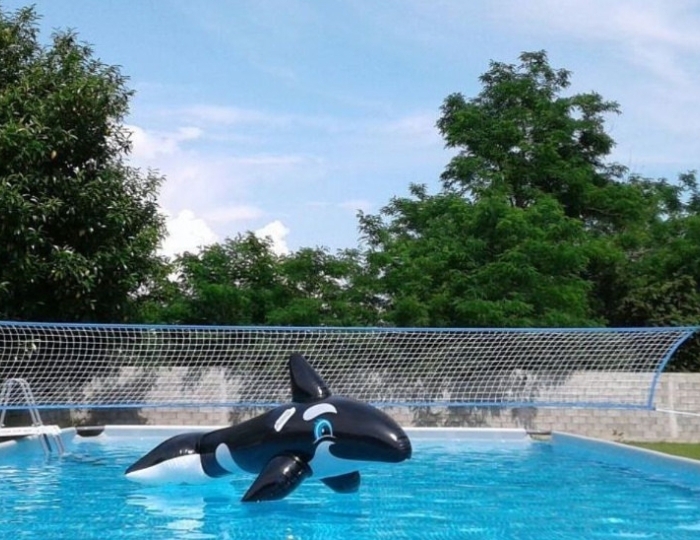 Услуги и развлечения - Гостевой комплекс «Фазенда» Гудаута