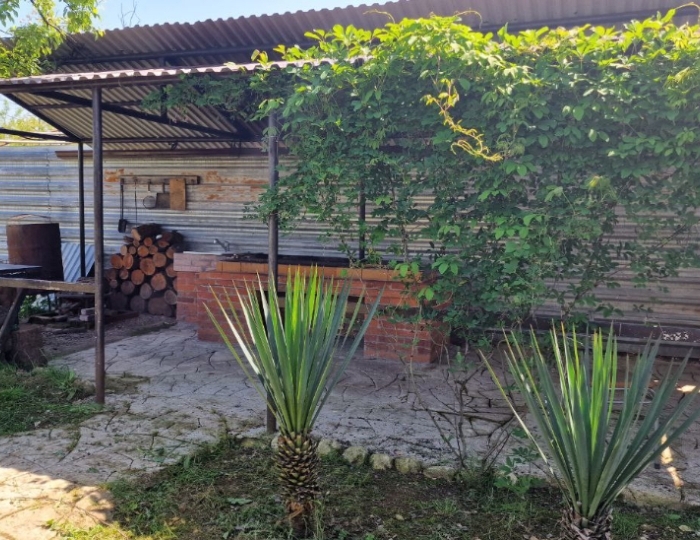 Услуги и развлечения - Гостевой комплекс «Фазенда» Гудаута